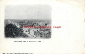 IA, Oskaloosa, Iowa, Bird's Eye View Of City, AL Black Pub No 300