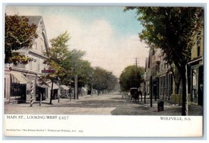 Wolfville Nova Scotia Canada Postcard Main Street Looking East c1910 Antique