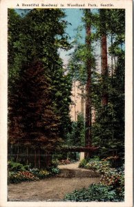 Beautiful Roadway Woodland Park Seattle Washington WA Divided Back Postcard 