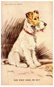 Dog , Wire Haired Fox Terrier , artist signed mac