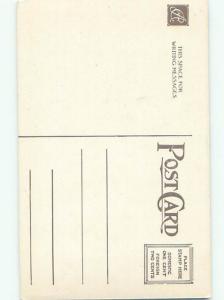 Divided-Back CUTE CAT SCENE Great Postcard AA9470