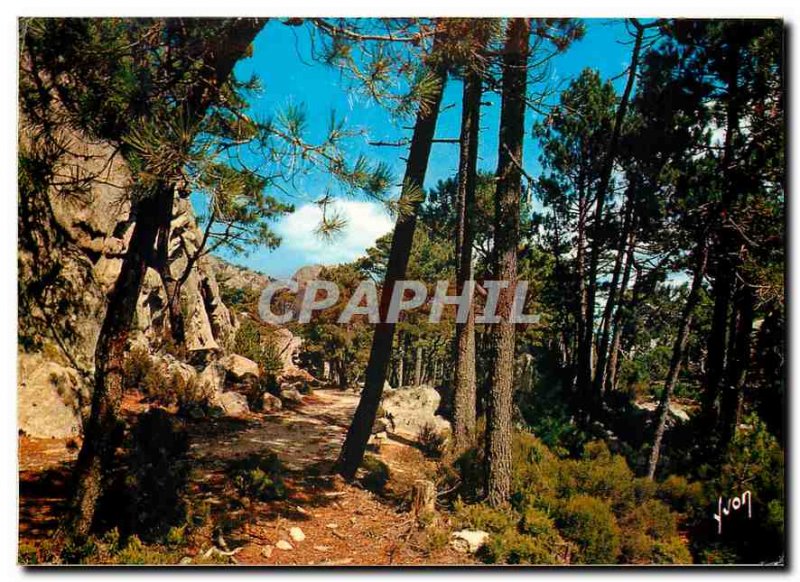 Postcard Modern Colors and Light of France Corsica Oasis Beauty Forest of Osp...