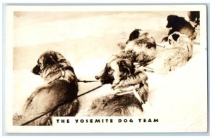 1938 The Yosemite Dog Team Winter Scene Fresno California CA RPPC Photo Postcard