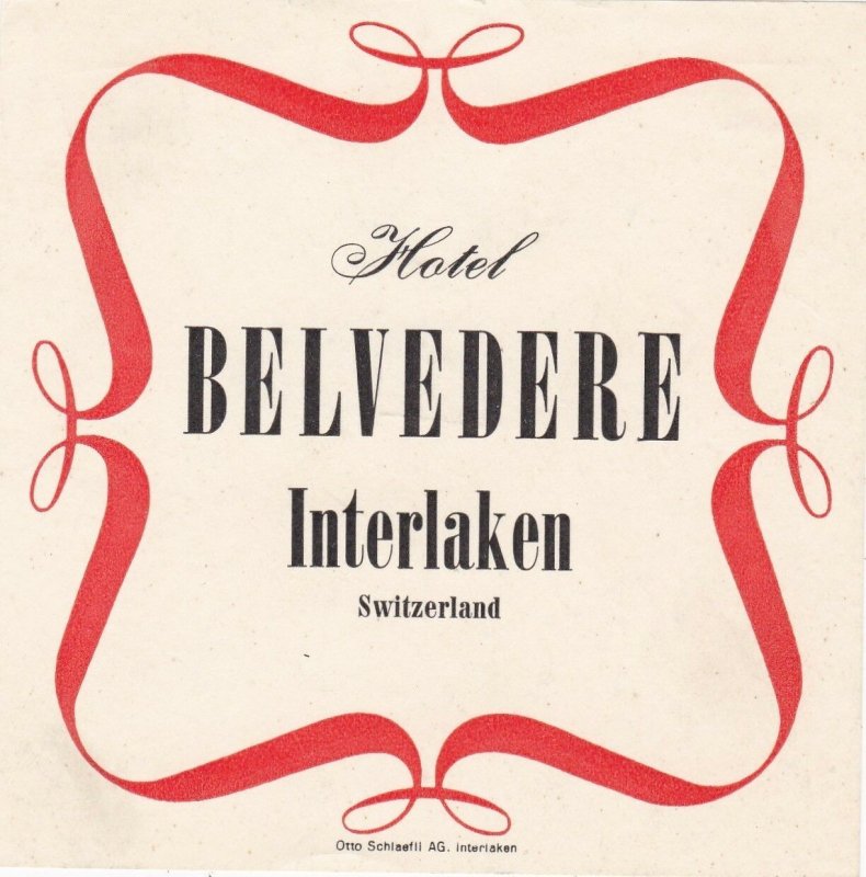 Switzerland Interlaken Hotel Belvedere Vintage Luggage Label sk4270