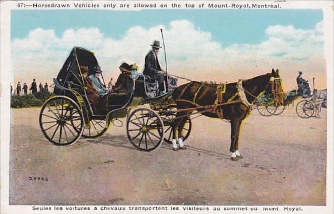 Canada Montreal Mount Royal Typical Horse Drawn Carriage