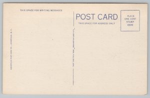 North Carolina~Mountain Waterfall In Mid Autumn~Vintage Postcard 