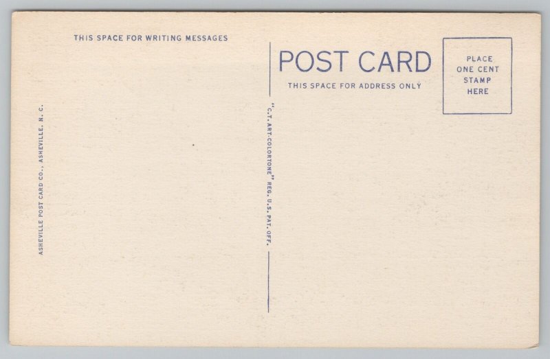 North Carolina~Mountain Waterfall In Mid Autumn~Vintage Postcard 