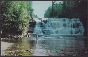 Brook Trout Fishing,Agate Falls,Agate,MI Postcard BIN