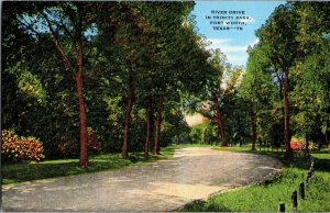 River Drive in Trinity Park, Fort Worth TX Vintage Postcard L55