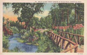 Walk along Trout Stream Blue Hole, Castalia, Ohio Linen     