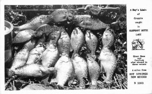 Hot Springs New Mexico Frasher 1940s Elephant Fish RPPC Photo Postcard 21-10738