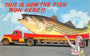 Truck with a Huge Fish in the Back Exaggeration Fishing Unused 