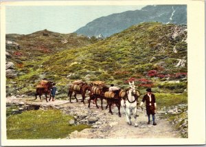 Switzerland - Men in traditional dress leading pack horses up mountain