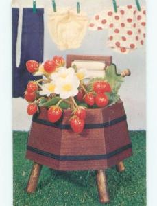 Pre-1980 POSTCARD AD - SPRING RINGER PLANTER Made In Des Moines Iowa IA E6339