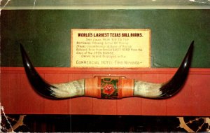 World's Largest Texas Bull Horns Commercial Hotel Elko Nevada 1961