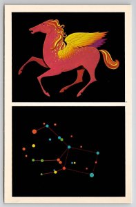 Astronomy Constellation Pegasus The Winged Horse Postcard L42