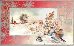 Vintage Postcard On This Winter's Day Birds On Twigs Sweet Christmas Greetings