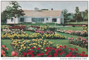 Flowers Rose Garden Jackson & Perkins Company Newark New York World'...