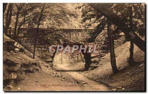 Old Postcard Parc De St Cloud Bridge Devil