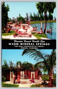 Venice FL~Bathing Beauties At Warm Mineral Springs~Fountain Of Youth~Vintage PC