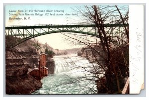 Driving Park Avenue Bridge Rochester New York NY 1909 UDB Postcard P26