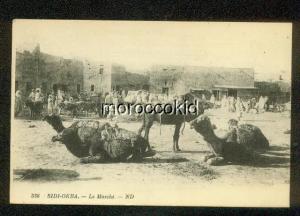 SIDI-OKBA ALGERIA B&W CAMEL CARAVAN AT REST IN CITY OR MARKET