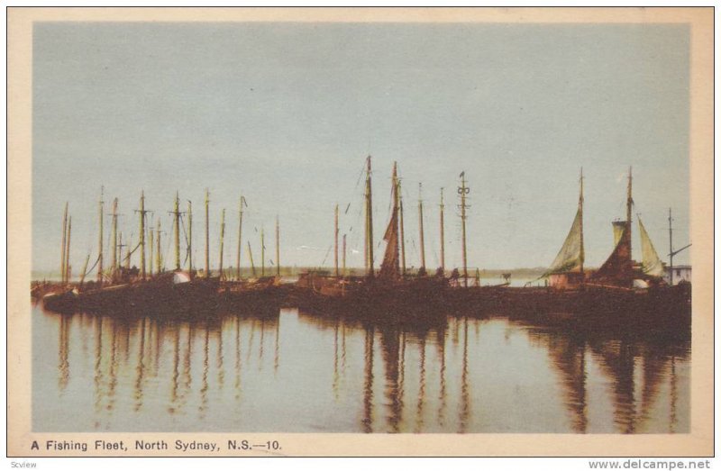 A Fishing Fleet, North Sydney, Nova Scotia, Canada, 1910-1920s