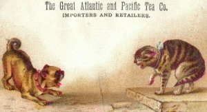 1880's Great A & P Tea Co. Cat & Dog Victorian Trade Card P143