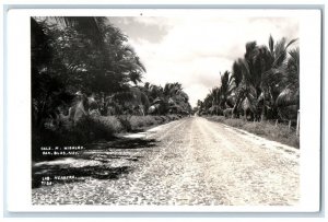 c1950's Stone Road Palm Trees View Hidalgo Mexico RPPC Photo Unposted Postcard