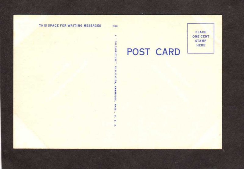 FL Streamline Railroad Train Orange Groves Florida Linen Postcard