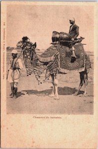 Egypt Chameau de Fantaisie Fantasy Camel Vintage Postcard C104