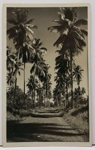 RPPC Port Moreaby Papua Or Australia Coconut Trees c1950s Postcard H4