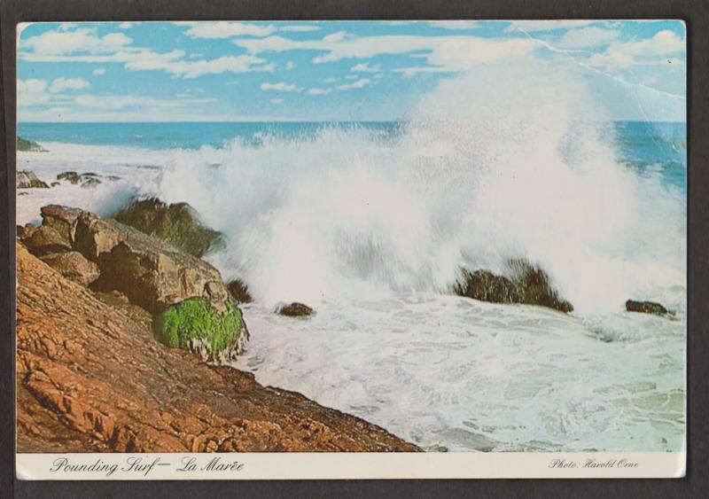 Pounding Surf, La maree, Quebec - Unused - Corner Wear