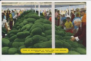CO LN Rocky Ford Fair Grounds Watermelons Linen Mint