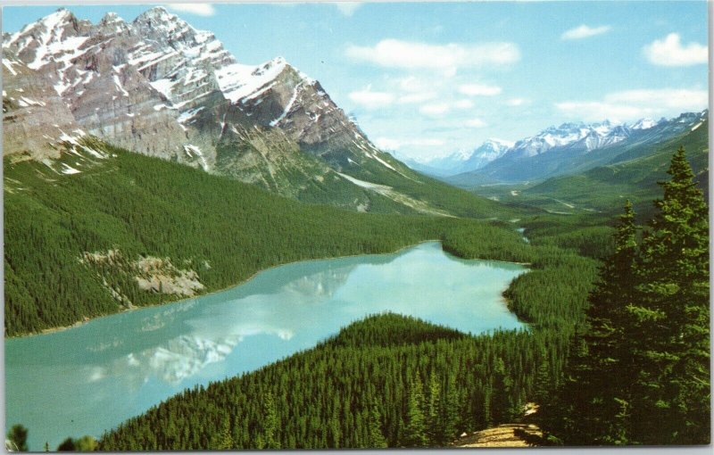 Peyto Lake and Mount Patterson, Alberta Canada postcard