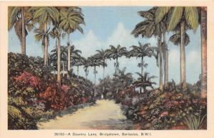 E58/ Foreign Postcard Carribean c1910 Bridgetown Barbados Country Lane