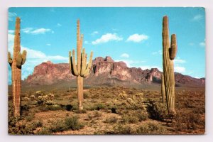 Superstition Mountain US Highway 80 Pinal County AZ UNP Chrome Postcard G16