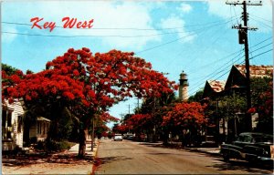 Postcard FL Key West Simonton Street Royal Poinciana Trees Lighthouse 1950s F38
