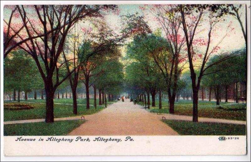 Avenue in Allegheny Park, Allegheny PA