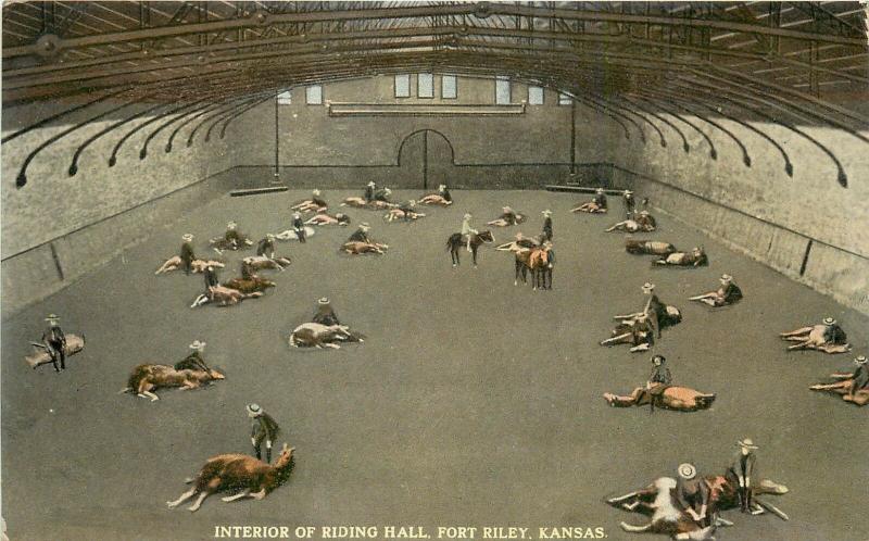 Vintage Postcard Fort Riley KS Interior of Riding Hall Trained Horses US Army
