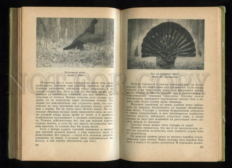 143968 4 Compilation OUR HUNTING Fishing 1968 russian BOOK