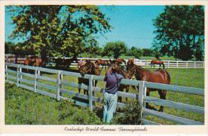 Kentucky Lexington Typical Blue Grass Horse Farm