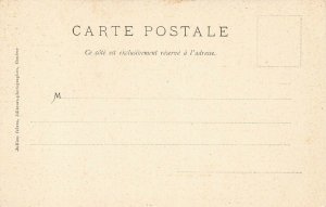 France Carte Goats J. j. 3097 A Champery Postcard