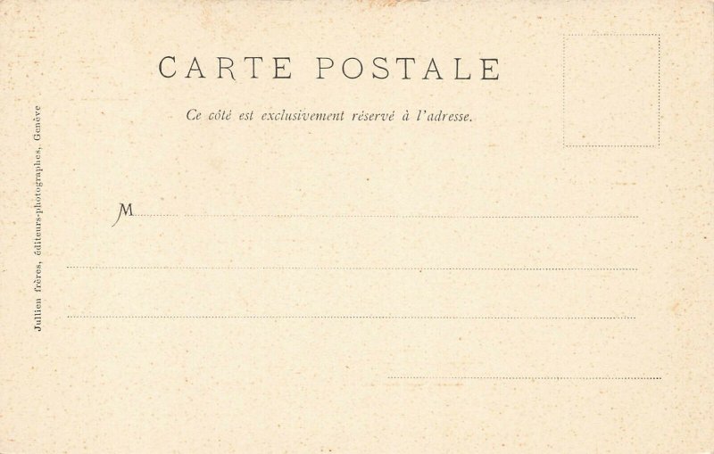 France Carte Goats J. j. 3097 A Champery Postcard