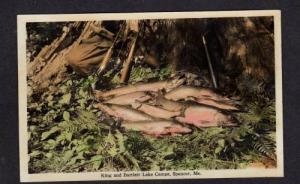 ME King Bartlett Camps FISH Colored RPPC EUSTIS MAINE