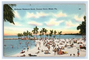 Vintage Matheson Hammock Beach Coconut Grove, Miami Flordia. Postcard P60E