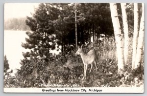 RPPC Mackinaw City MI Cute Deer Northwoods Pet Real Photo Postcard U25