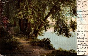 New York Binghamton Lovers Lane Along Susquehanna River 1906