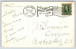 Chicago Fantasy Stock Yard Comic~Dressed Pigs & Cow Couples Arrive for Show~1908