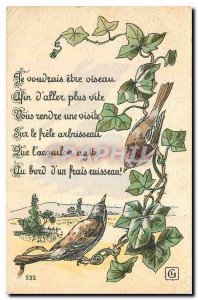 Old Postcard Birds
